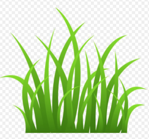 Howell Brothers Icon grass