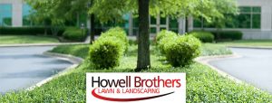 Howell Brothers facebook-art