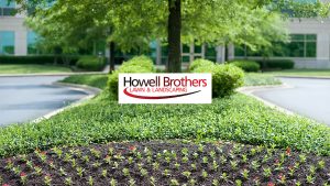 Howell Brothers youtube-channel-art